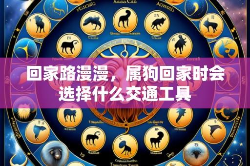 回家路漫漫,属狗回家时会选择什么交通工具