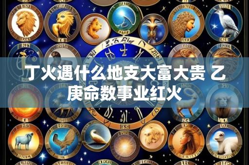 丁火遇什么地支大富大贵 乙庚命数事业红火