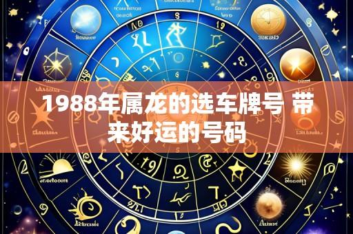 1988年属龙的选车牌号 带来好运的号码