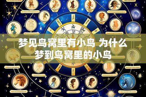 梦见鸟窝里有小鸟 为什么梦到鸟窝里的小鸟