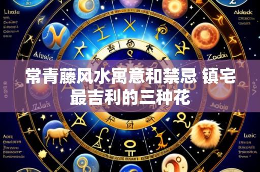 常青藤风水寓意和禁忌 镇宅最吉利的三种花