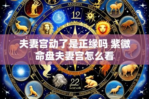 夫妻宫动了是正缘吗 紫微命盘夫妻宫怎么看