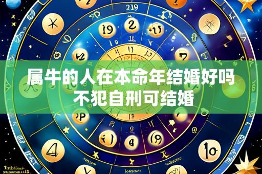 属牛的人在本命年结婚好吗 不犯自刑可结婚