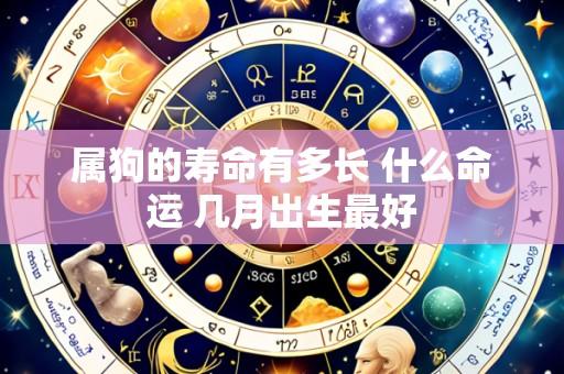 属狗的寿命有多长 什么命运 几月出生最好