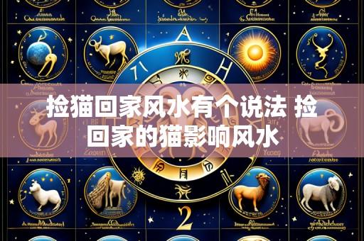 捡猫回家风水有个说法 捡回家的猫影响风水
