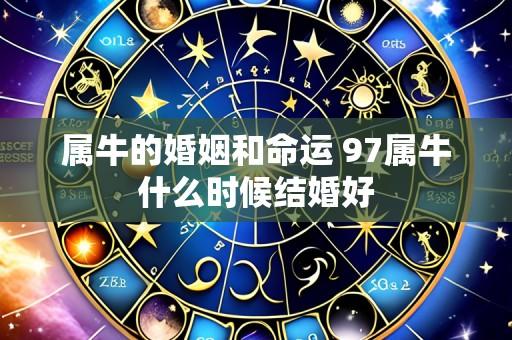 属牛的婚姻和命运 97属牛什么时候结婚好