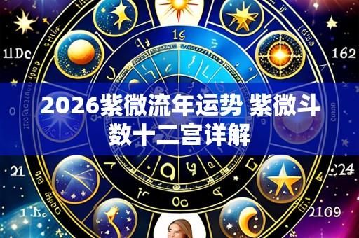 2026紫微流年运势 紫微斗数十二宫详解