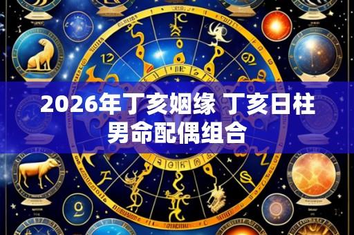 2026年丁亥姻缘 丁亥日柱男命配偶组合