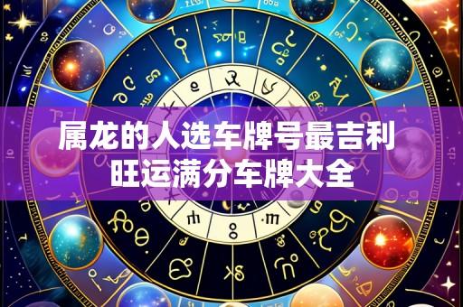 属龙的人选车牌号最吉利 旺运满分车牌大全