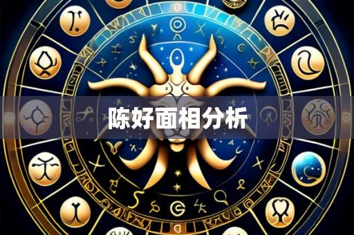 陈好面相分析