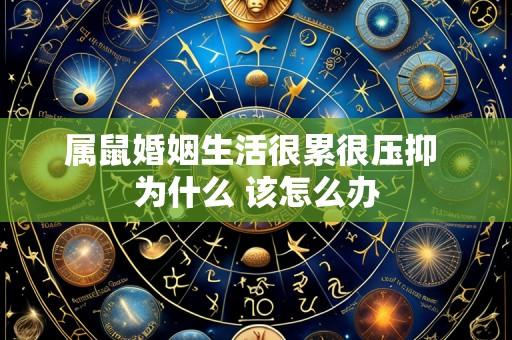 属鼠婚姻生活很累很压抑 为什么 该怎么办