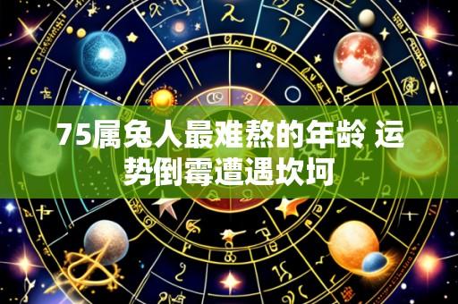 75属兔人最难熬的年龄 运势倒霉遭遇坎坷