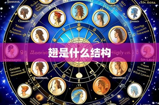 翅是什么结构