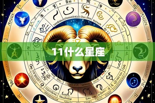 11什么星座