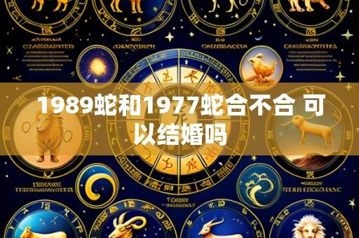1989蛇和1977蛇合不合 可以结婚吗
