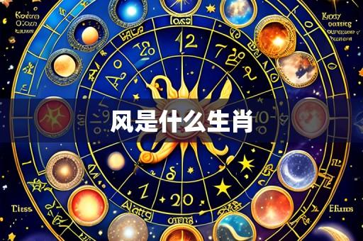 风是什么生肖