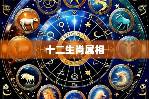 十二生肖属相