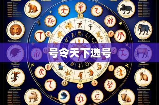 号令天下选号