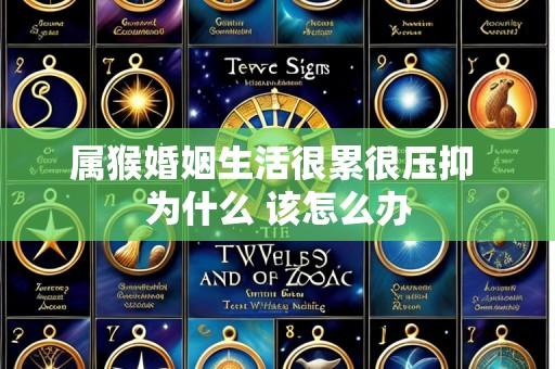 属猴婚姻生活很累很压抑 为什么 该怎么办