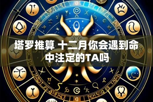 塔罗推算 十二月你会遇到命中注定的TA吗