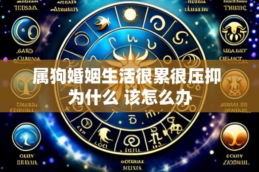 属狗婚姻生活很累很压抑 为什么 该怎么办