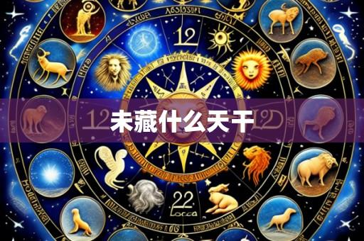 未藏什么天干