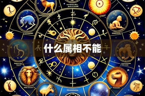 什么属相不能