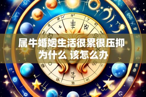 属牛婚姻生活很累很压抑 为什么 该怎么办