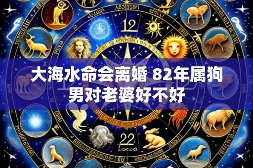 大海水命会离婚 82年属狗男对老婆好不好