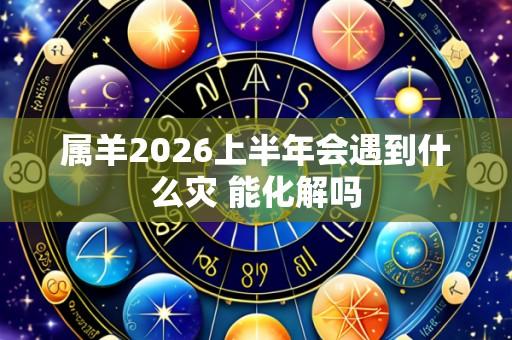 属羊2026上半年会遇到什么灾 能化解吗