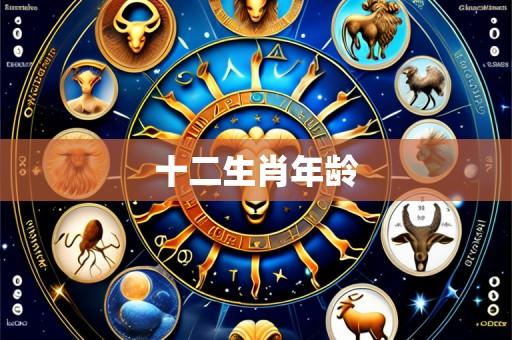 十二生肖年龄