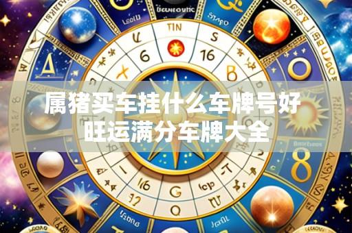属猪买车挂什么车牌号好 旺运满分车牌大全