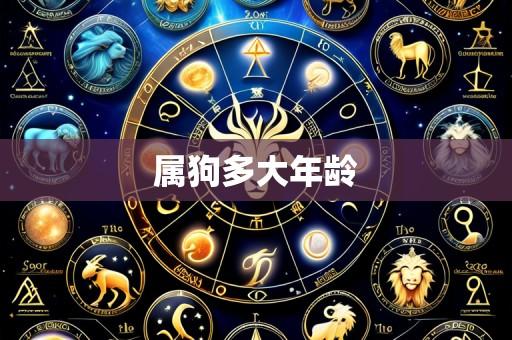 属狗多大年龄