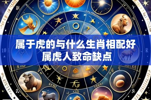 属于虎的与什么生肖相配好 属虎人致命缺点