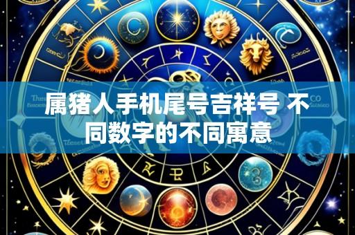 属猪人手机尾号吉祥号 不同数字的不同寓意