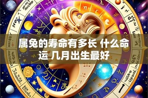 属兔的寿命有多长 什么命运 几月出生最好