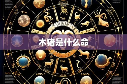木猪是什么命