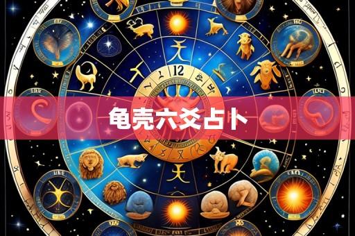 龟壳六爻占卜