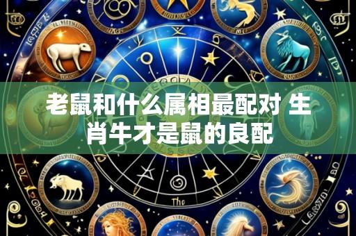 老鼠和什么属相最配对 生肖牛才是鼠的良配