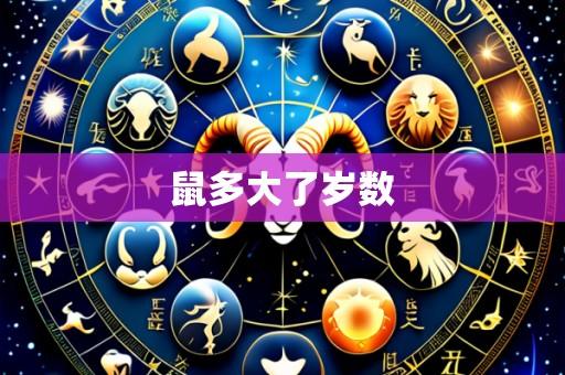 鼠多大了岁数