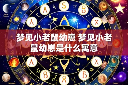 梦见小老鼠幼崽 梦见小老鼠幼崽是什么寓意