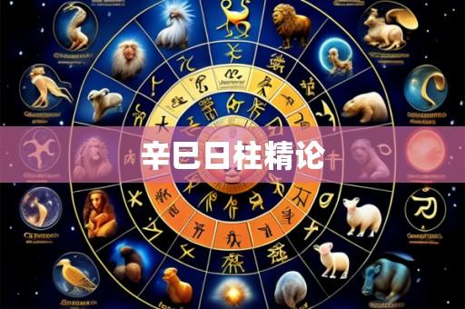 辛巳日柱精论