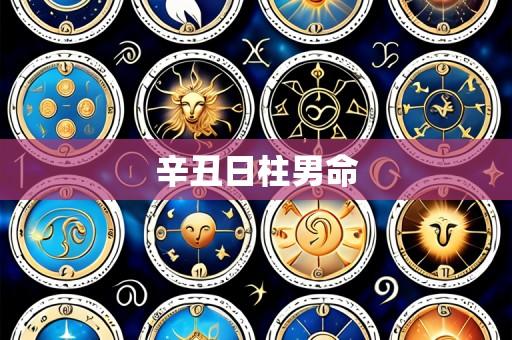 辛丑日柱男命
