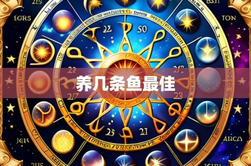 养几条鱼最佳