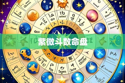 紫微斗数命盘