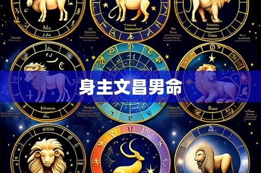 身主文昌男命