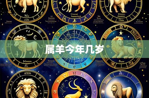 属羊今年几岁