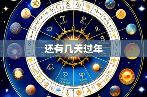 还有几天过年