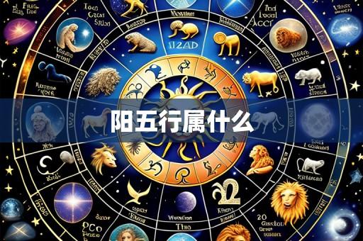 阳五行属什么
