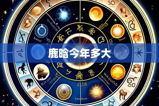 鹿晗今年多大